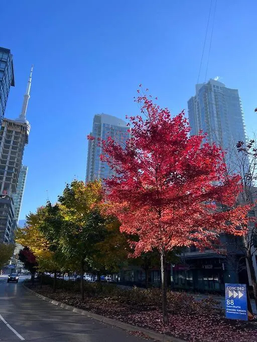 Sky Living Awesome Lake And City View Toronto Apartment